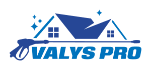 Valys pro logotipas originali spalva
